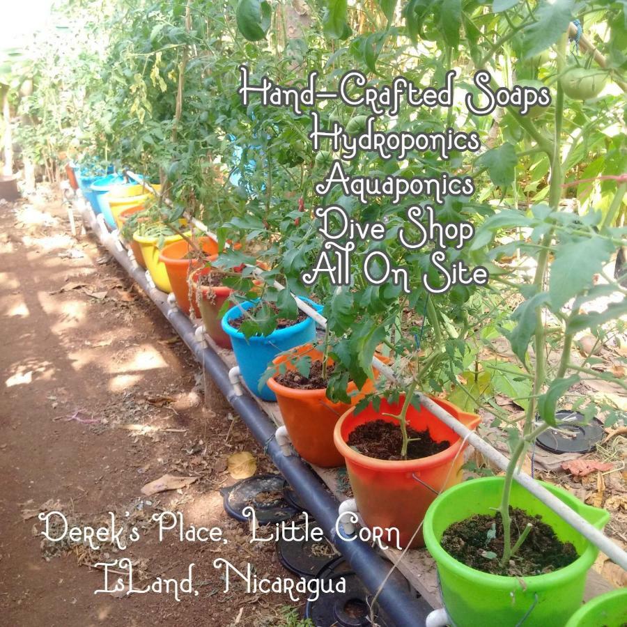 ליטל קורן איילנד Derek'S Place Eco-Lodge מראה חיצוני תמונה